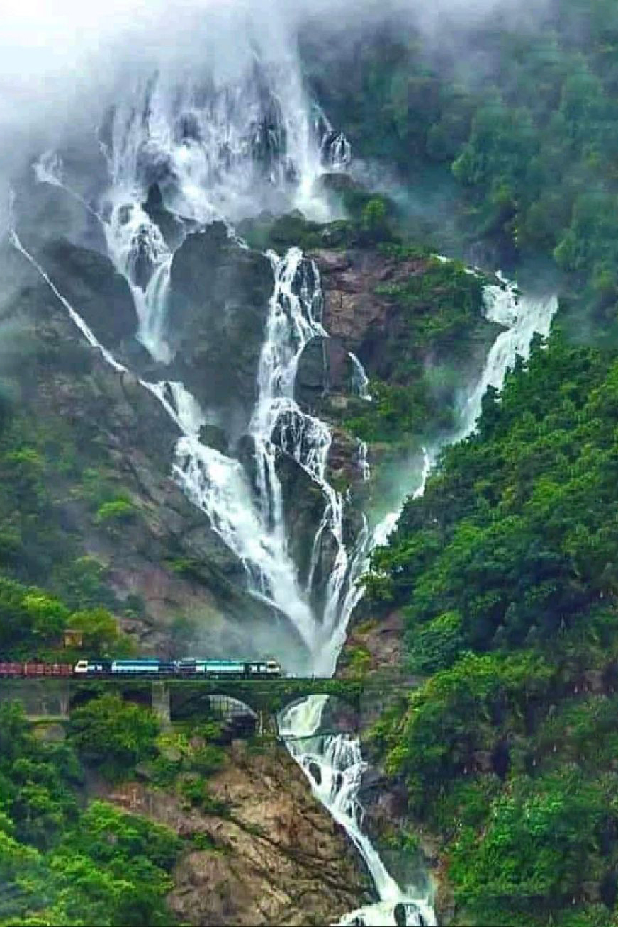 c3535939e19e77c8bd7b49d06c376630 (1)