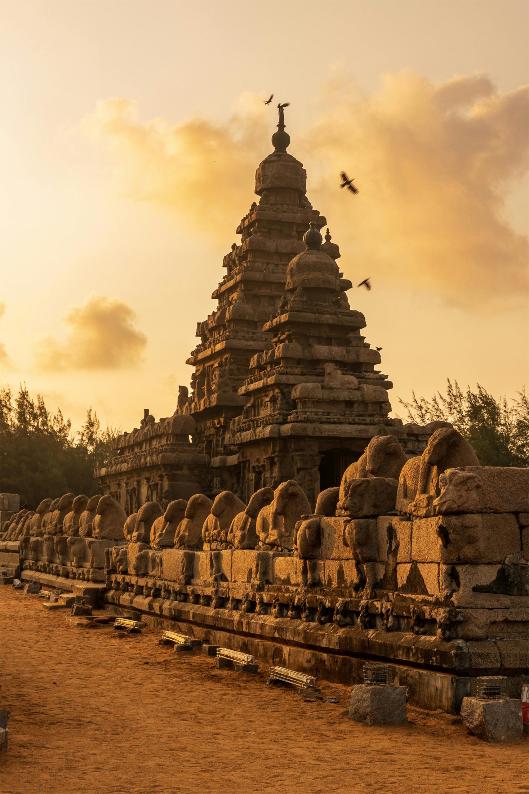 mahabalipuram (1)